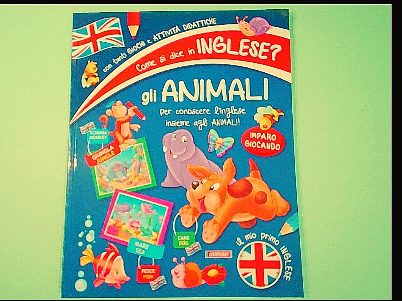 IMPARO L'INGLESE - Gli animali