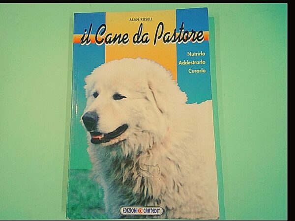 IL CANE DA PASTORE