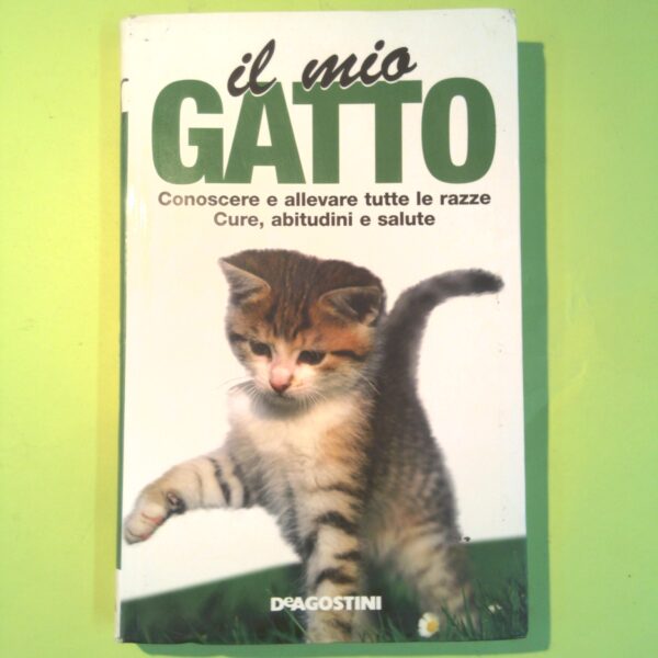 IL MIO GATTO