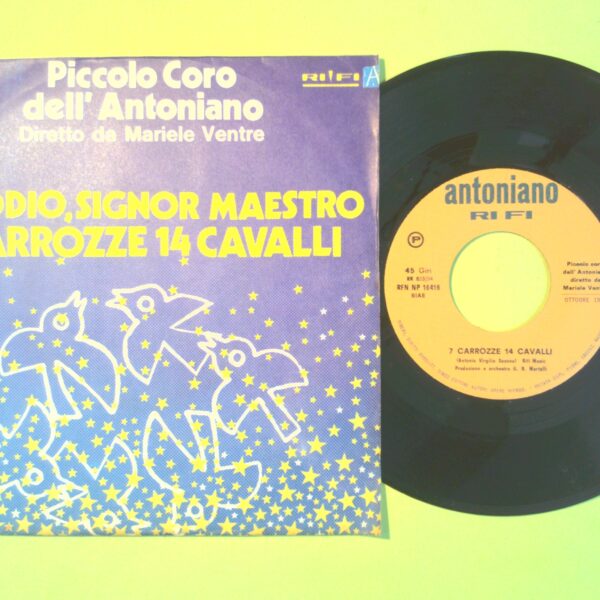 ADDIO SIGNOR MAESTRO/ 7 CARROZZE 14 CAVALLI DISCO 45 GIRI RFN NP 16416 1970 - immagine 2